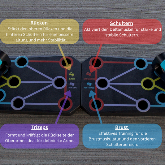 Push-Up Board Pro - Das Komplettsystem für dein Oberkörpertraining